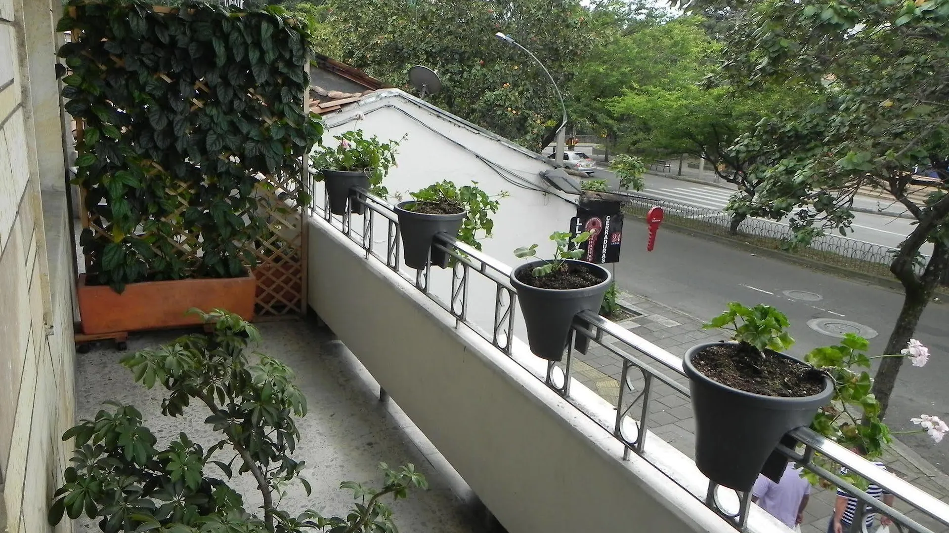 Hostel Hostal Tamarindo Inn Medellin Colombia